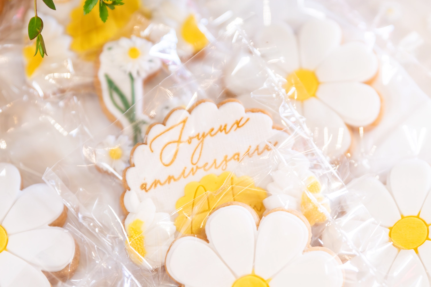 anniversaire par Aurélie Rivière, photographe professionnelle à l'Ile de la Réunion