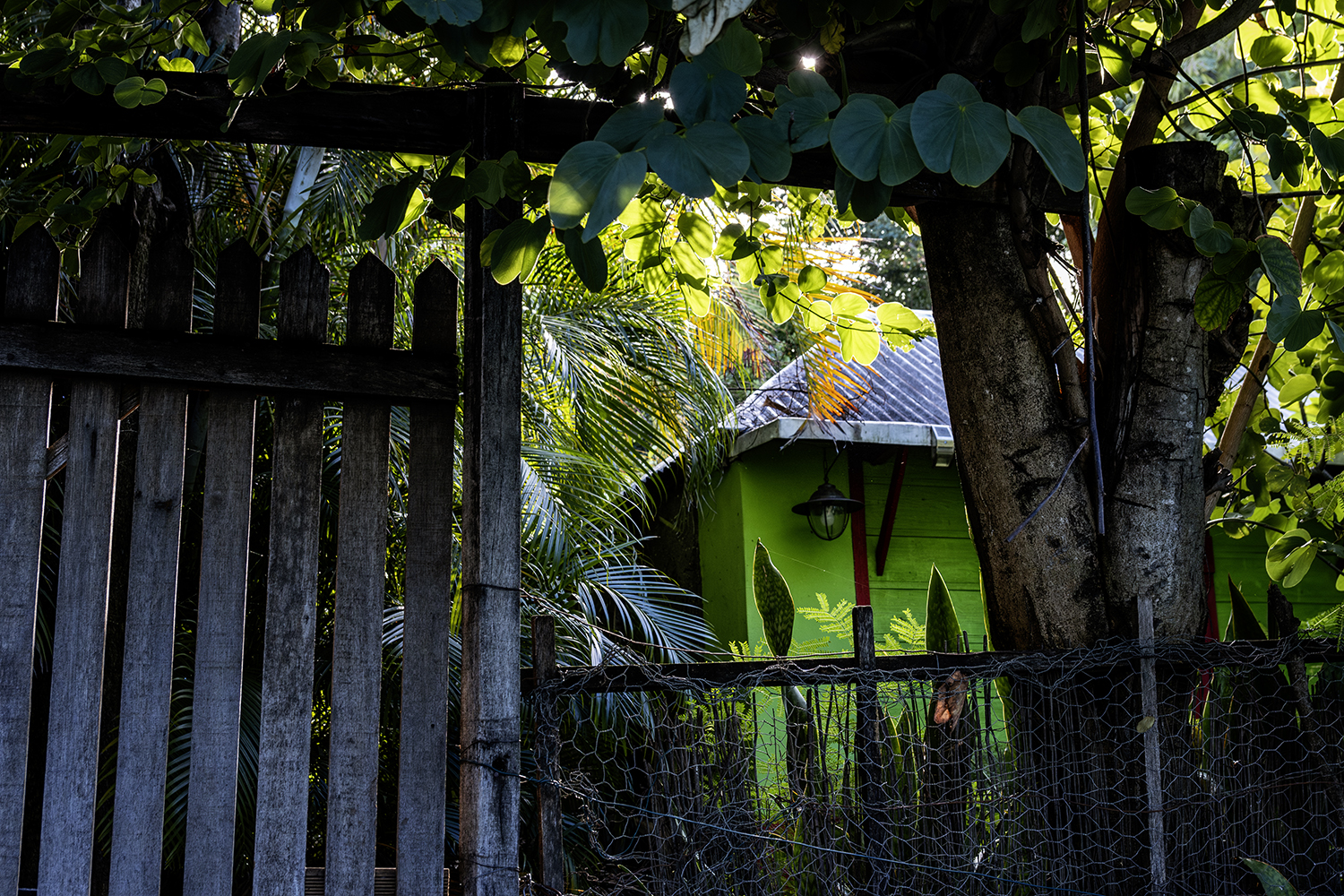 Photographie par Aurélie Rivière, photographe professionnelle à l'Ile de la Réunion